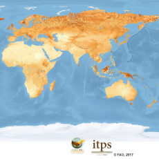 Global Soil Organic Carbon Map