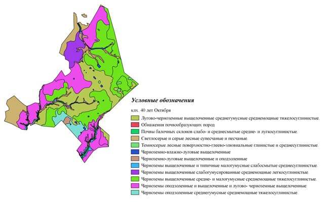 Почвенная карта хозяйства 40 лет Октября Рассказовского района Тамбовской области 