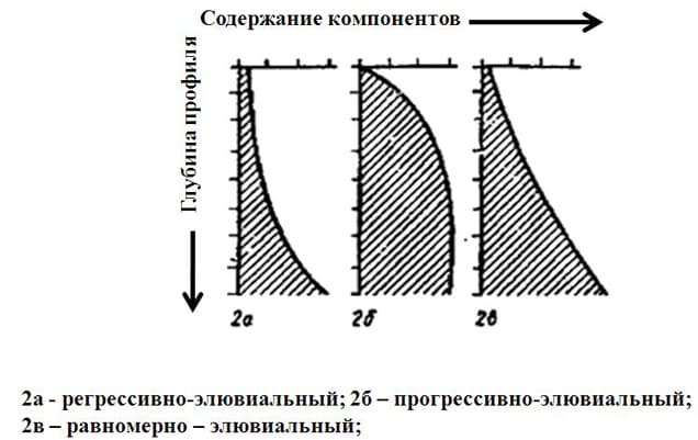 Элювиальный профиль