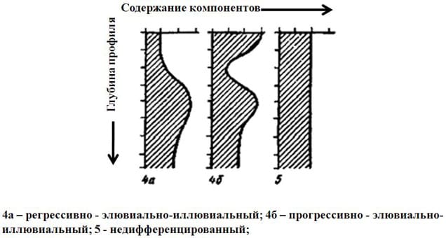 Рис. 14 Элювиально-иллювиальный профиль