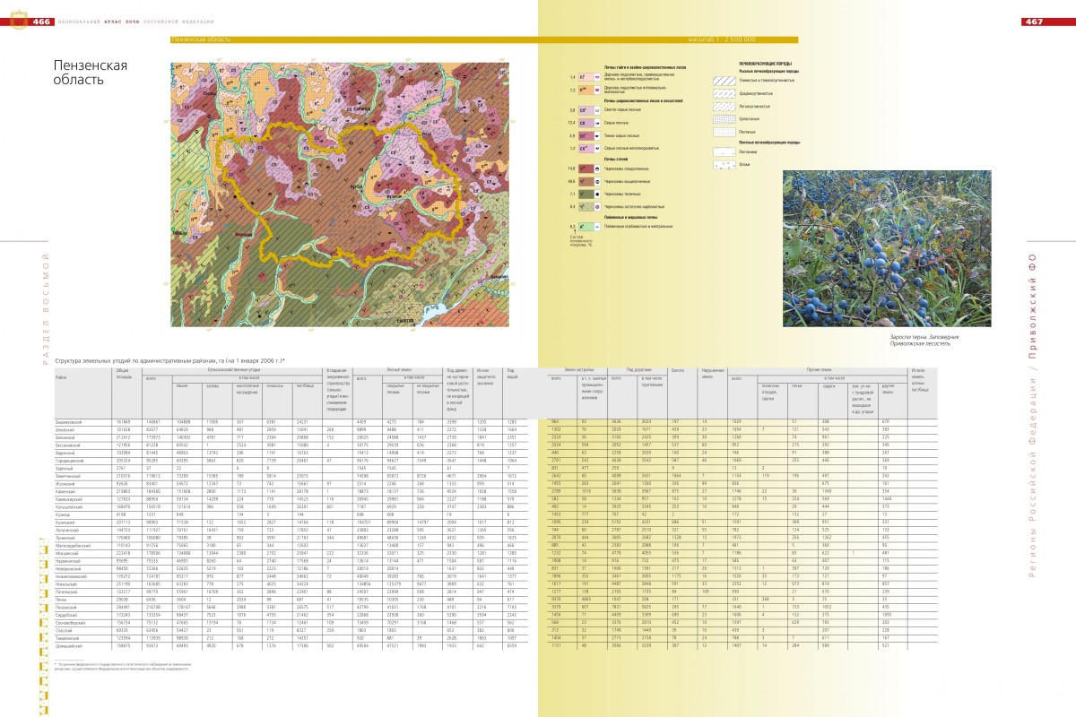 Почвенная карта пензенской области