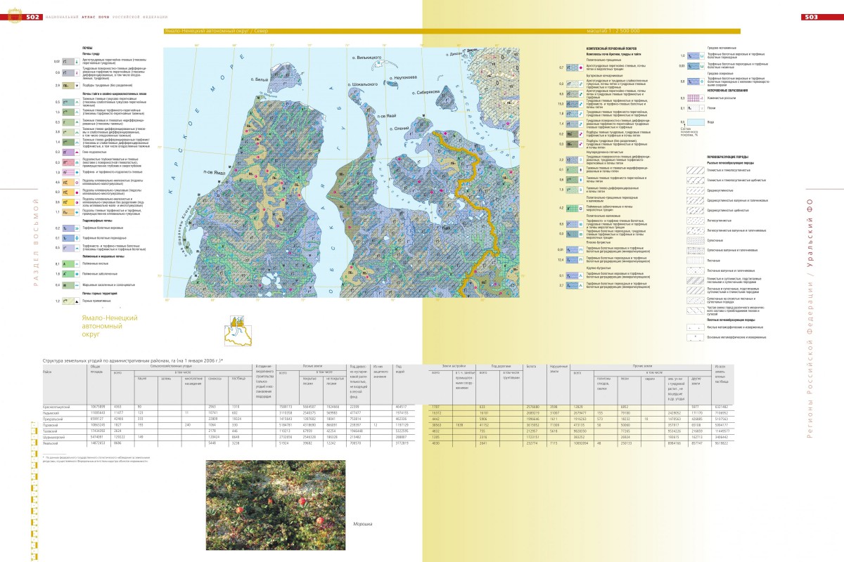 Почвенная карта ямало ненецкого автономного округа